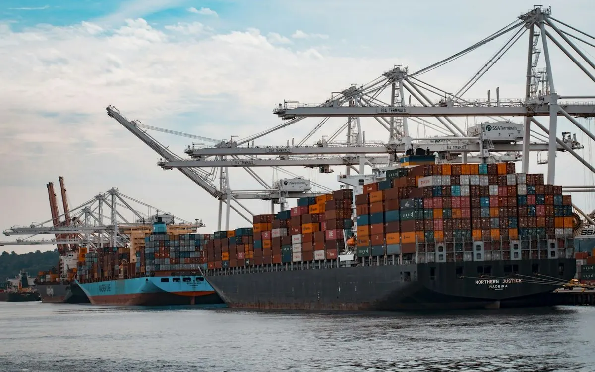 Container ships docked at a port with cranes